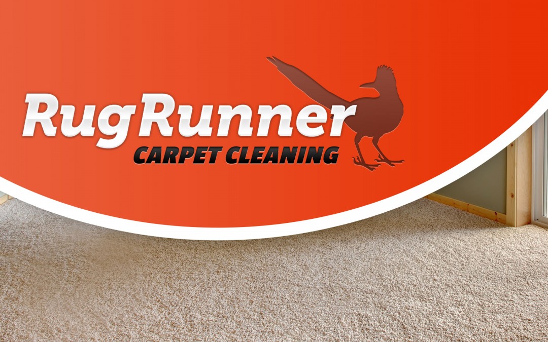 Carpet Cleaner Branding, Marketing, and Design