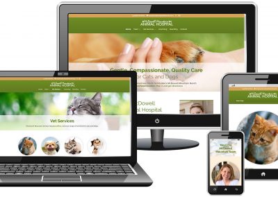 Animal Hospital Website Redesign