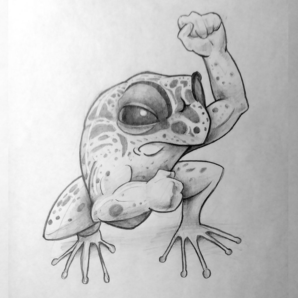 pencil drawing of a frog