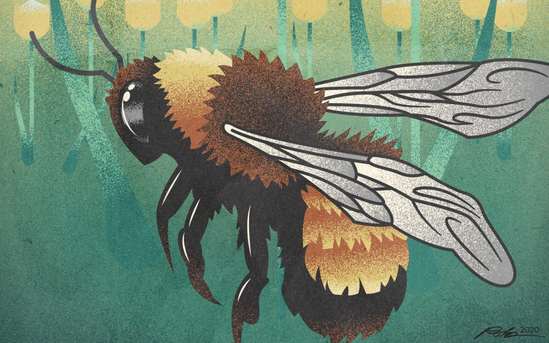 Retro Bee Illustration Poster