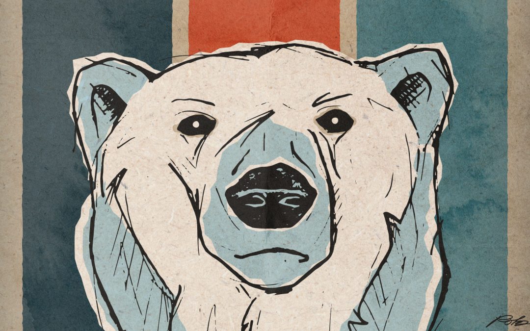 Polar Bear Illustration