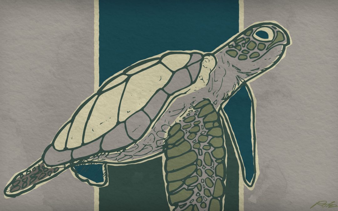 Retro Sea Turtle Illustration